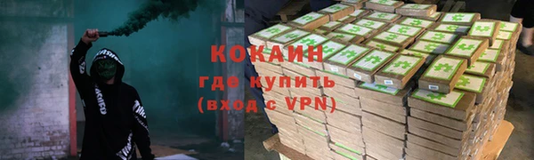 стаф Баксан
