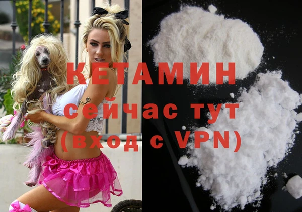 стаф Баксан