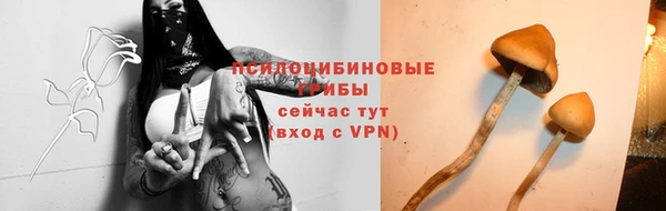 соль курить ск Аркадак