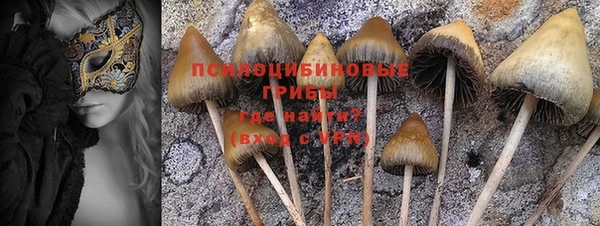 соль курить ск Аркадак