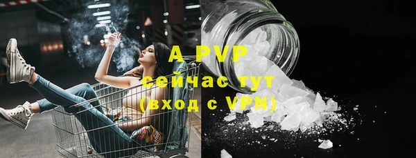 стаф Баксан